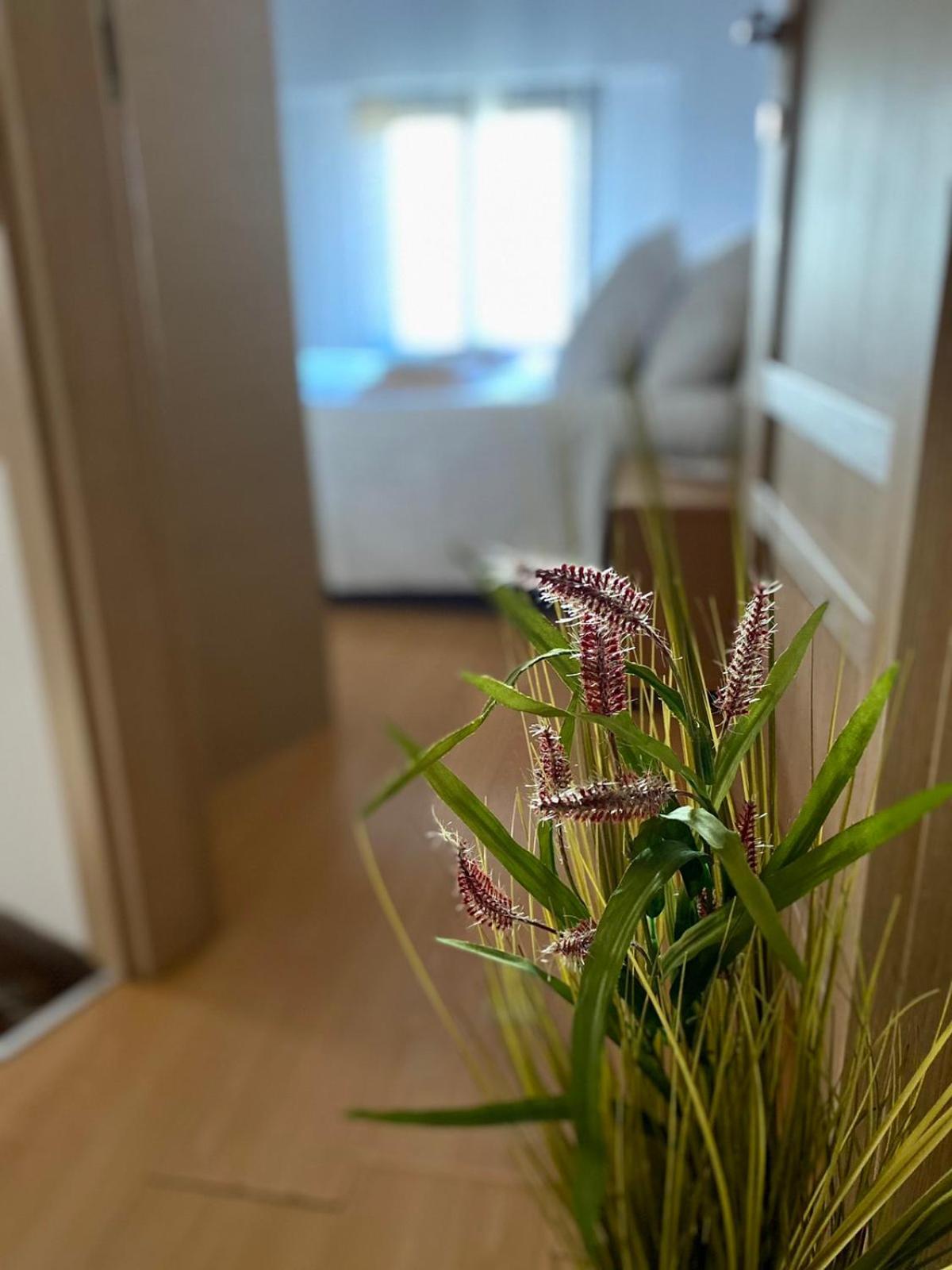 Casa Del Sol Apartment Aronion Ngoại thất bức ảnh